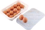Kabas Plast Plastic Egg Organizer Case For 15 Pieces with Cover - Assorted Colors