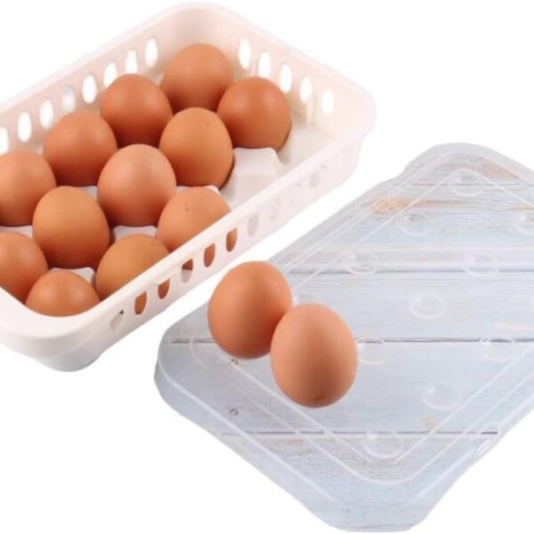 Kabas Plast Plastic Egg Organizer Case For 15 Pieces with Cover - Assorted Colors